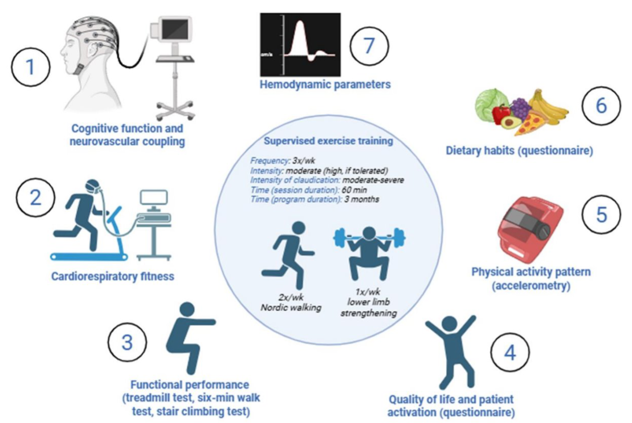 Supervised physical training and the associated clinical, behavioral and hemodynamic assessments.