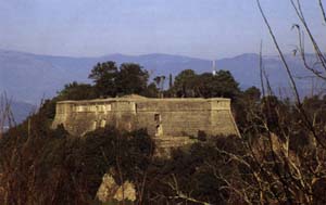 [Location of the Meeting, Neural Coding 2003]